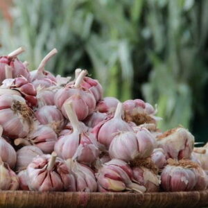 Ajo Morado Frutas y Verduras Isabel