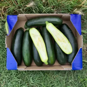 Calabacin verde caja Pascual y Merche